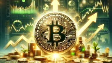 Bitcoin a Maior Criptomoeda Do mundo, o Que é e Como Investir?